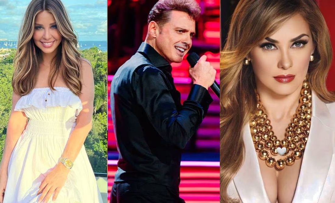 Myrka Dellanos desmiente declaraciones de Aracely Arámbula: «Luis Miguel ama a sus hijos»