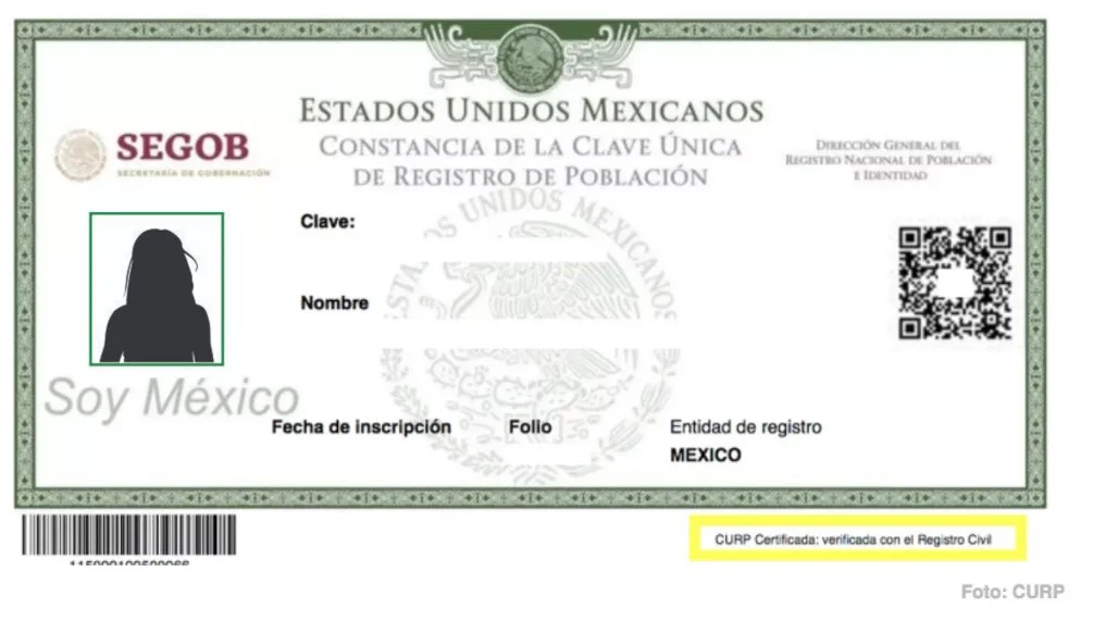 CURP con fotografía: Esto propone Morena para que sea una identificación oficial
