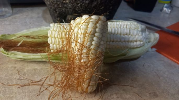 Té de pelos de elote: ¿Cuáles son los beneficios de esta bebida mexicana?