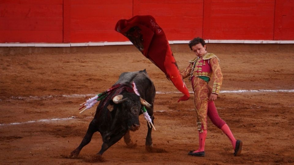 Exigen a la Corte no regresar las corridas de toros: «Es un acto de igual naturaleza de violencia»