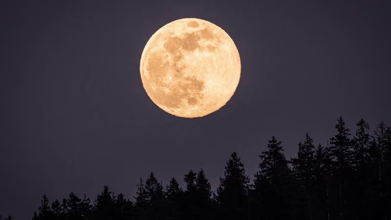 Superluna 2023: ¿Cuándo y cómo ver el fenómeno astronómico?