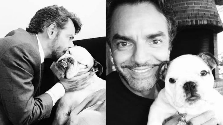 Eugenio Derbez realiza su primer viaje sin su «hija» Fiona, se quiebra en llanto: «era mi compañera de vida»