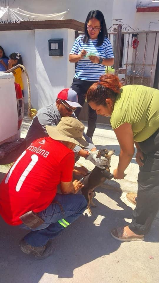 Cuidan a sus mascotas vecinos de la San Andrés