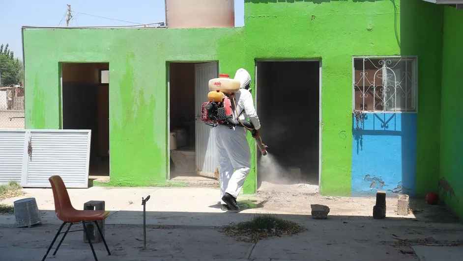 Fumigarán escuelas por prevención de rickettsia