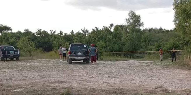 Rescatan a caballo atacado por abejas