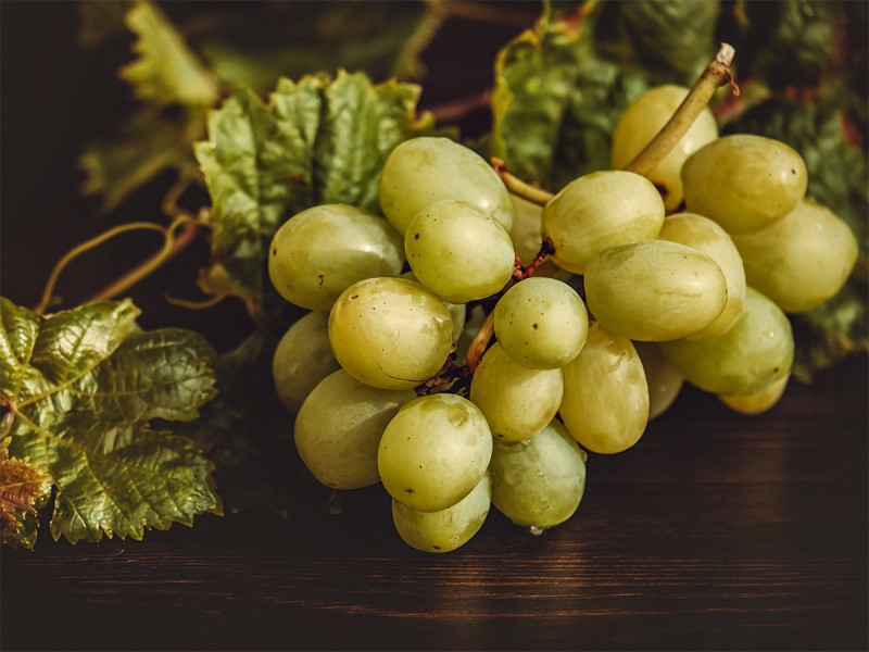 Por esta razón es importante que tu abuelito coma uvas en su dieta diaria