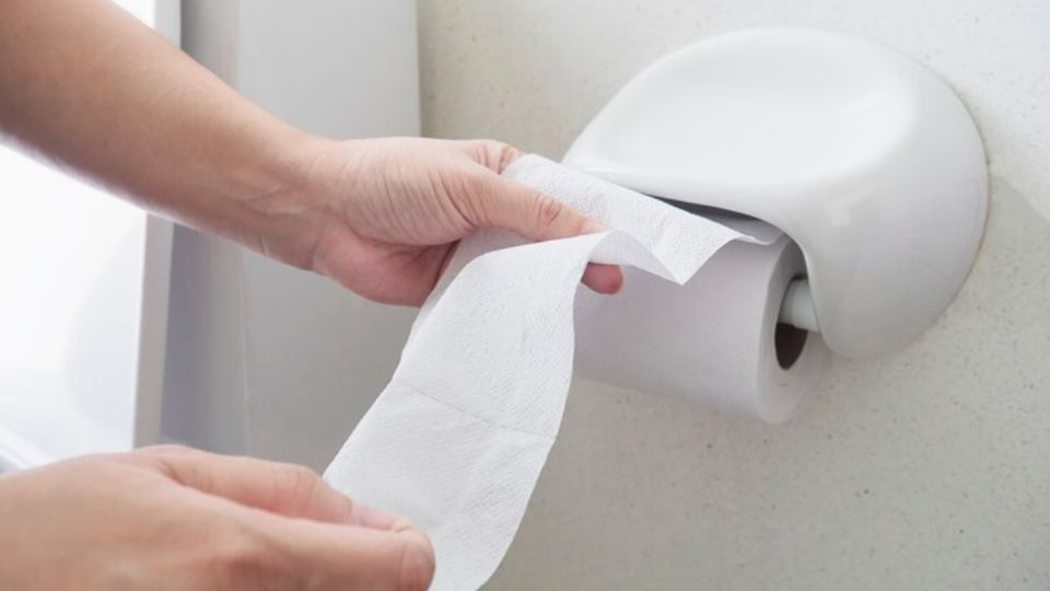 Esta es la esponja japonesa que dice adiós al papel higiénico y que garantiza una limpieza perfecta