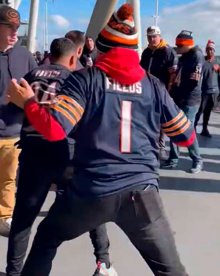 Brutal pelea en la NFL: así se agarraron a golpes los aficionados de los Chicago Bears