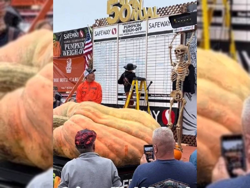 VIDEO. Nuevo récord a la calabaza más grande del mundo… ¡Pesó más de 1,246 kilos!