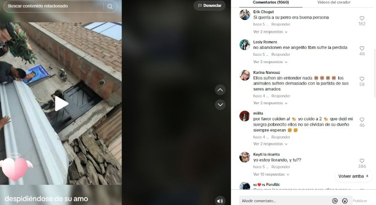 Lomito se sube al féretro de su amo para despedirlo