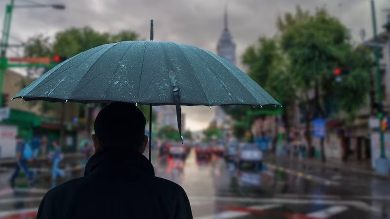 Frente frío 8 viene a México: ¿En qué estados lloverá y en cuáles hará frío?