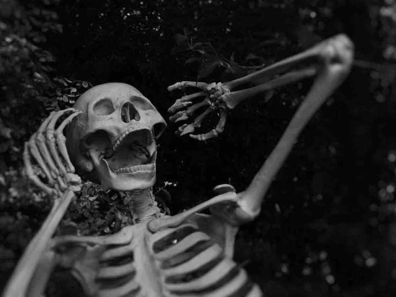 Sentir miedo no es tan malo, estos son sus beneficios, según la ciencia