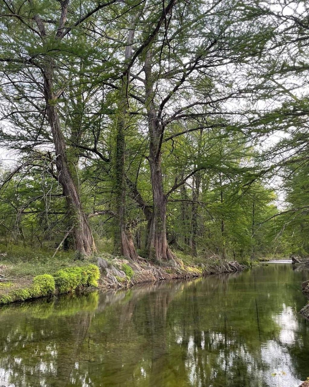Conmemoran “Día Del Río Sabinas”