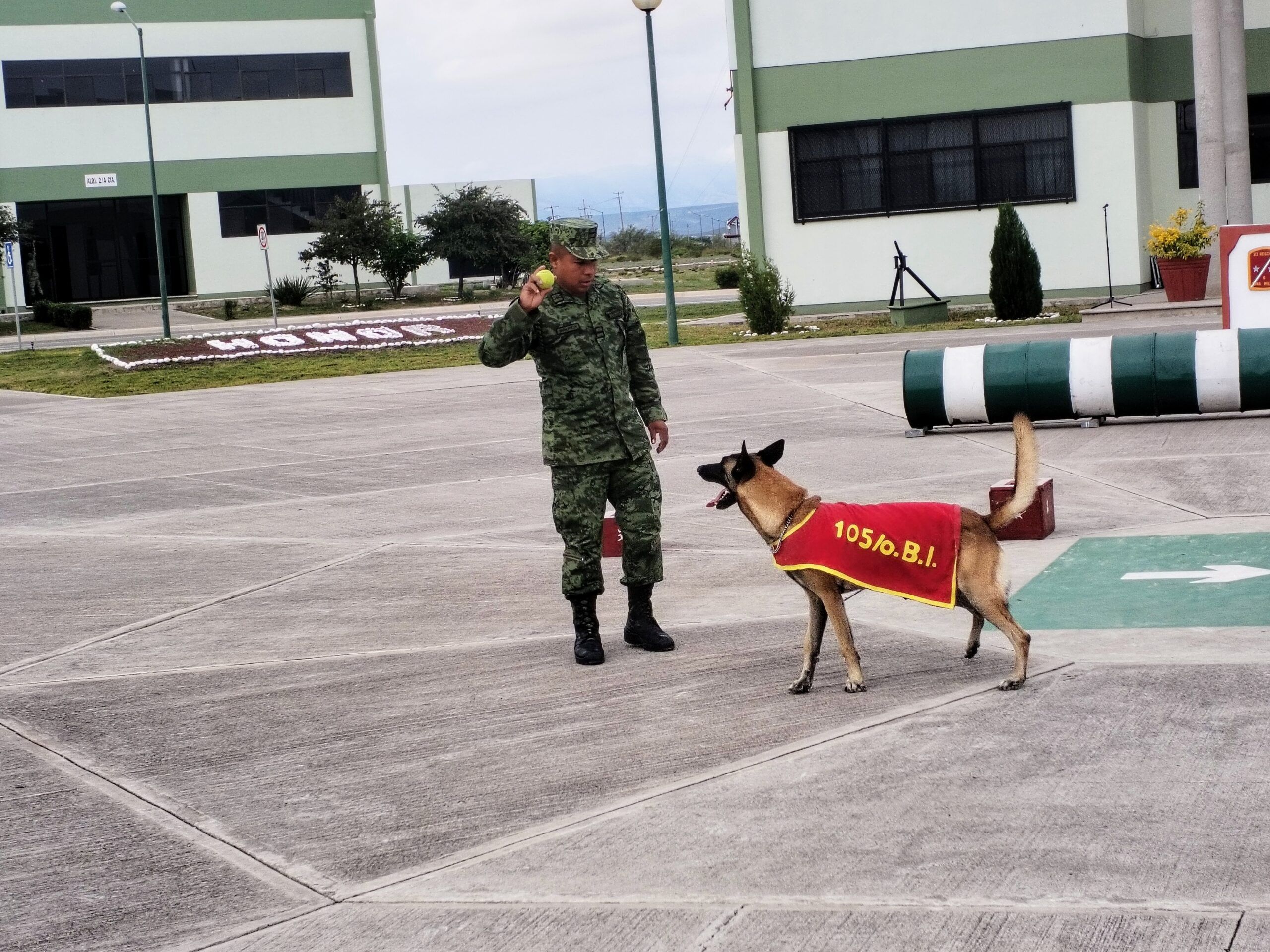 Entrenan canes para la seguridad de Coahuila