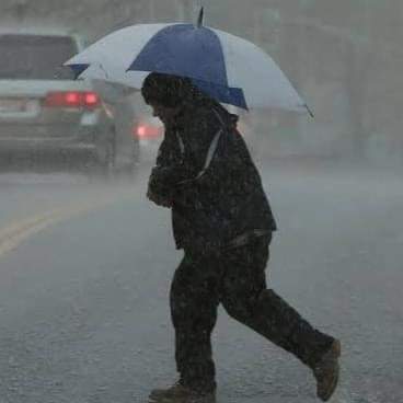 La temperatura oscilará entre los 12 y los 24 grados