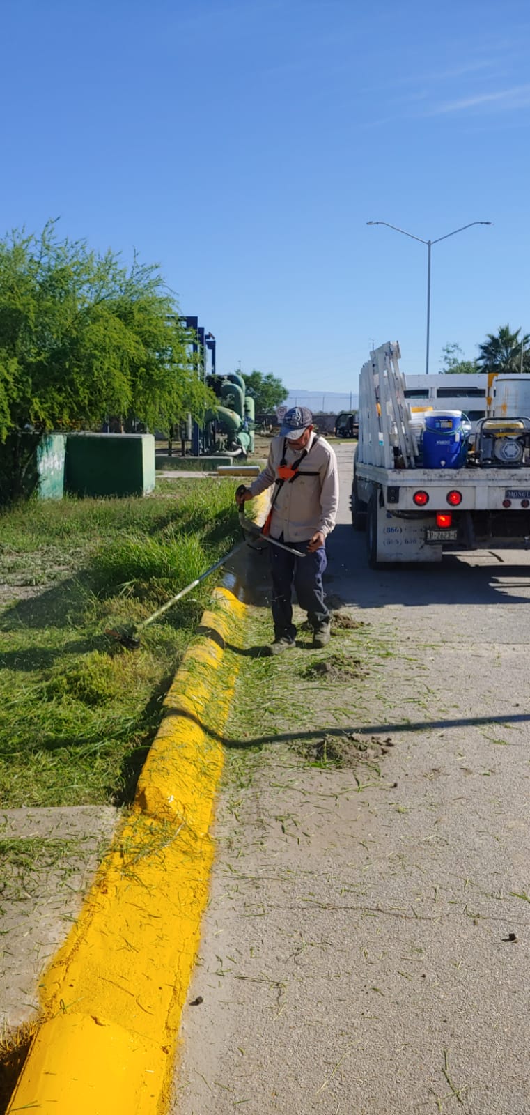 Bajo control el dengue con acciones de Salud