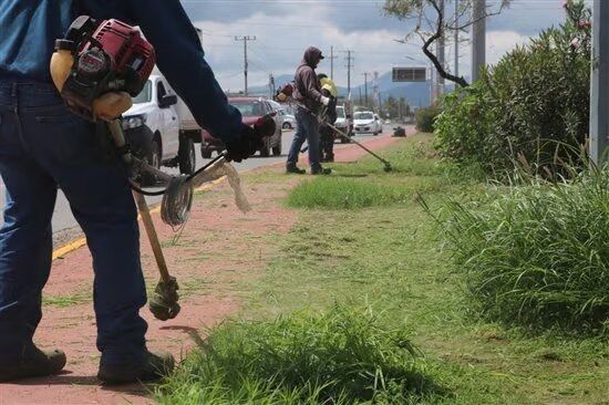 Combate presidencia la maleza en la ciudad