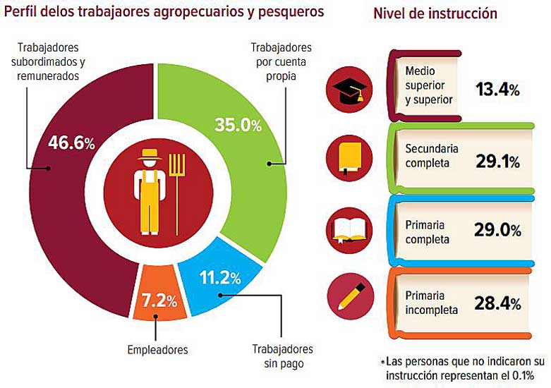 Gana un minisalario 47% de trabajadores del agro