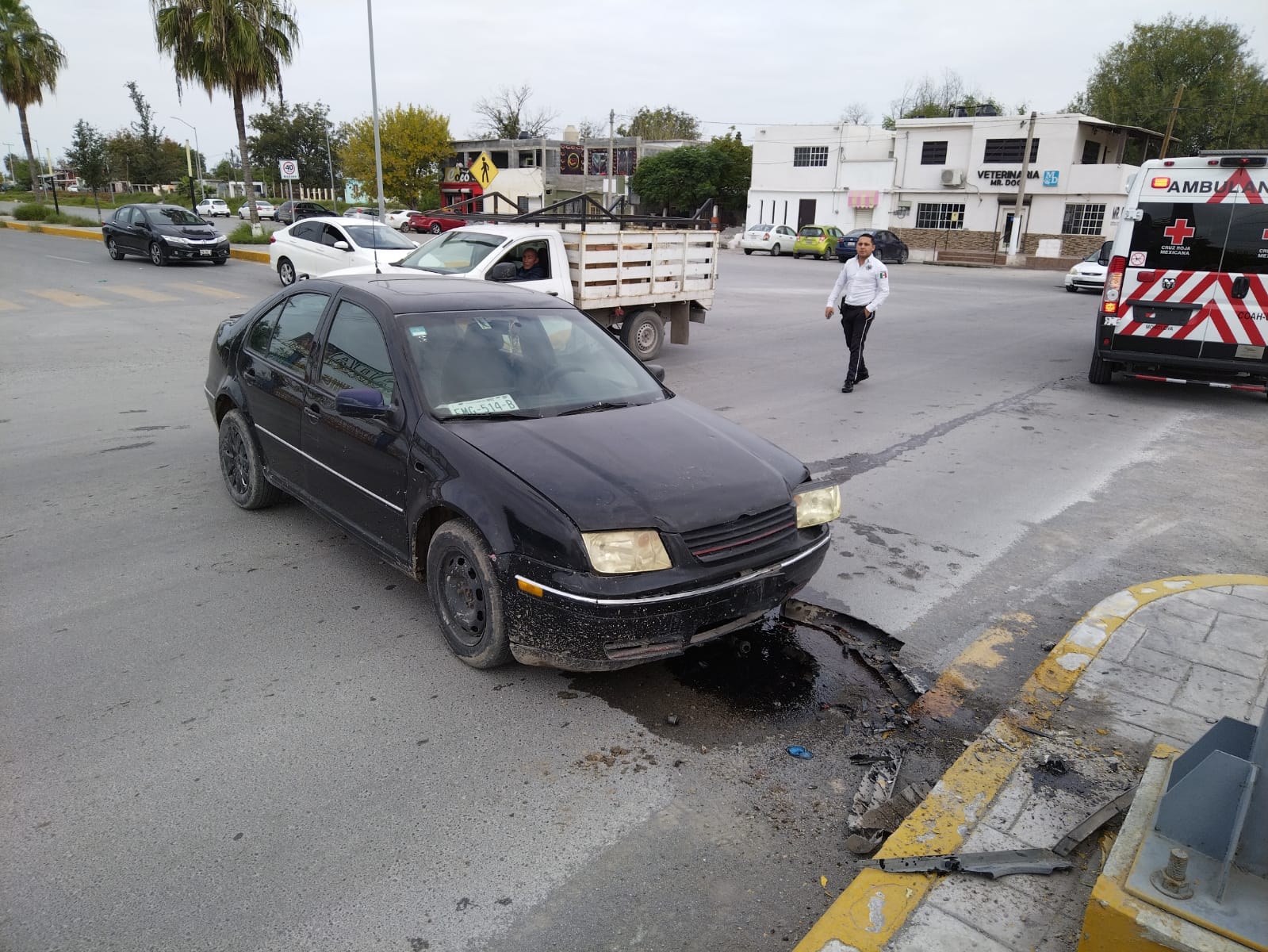 Frena camellón auto sin frenos