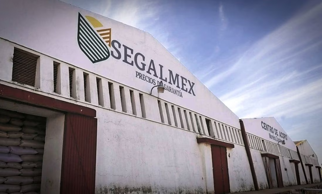 Niegan amparo a René Gavira, implicado en desfalco a Segalmex