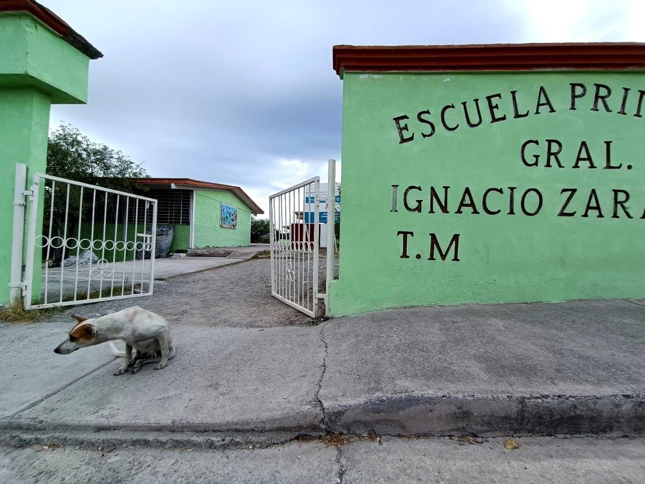 Reabre primaria tras reparación de energía