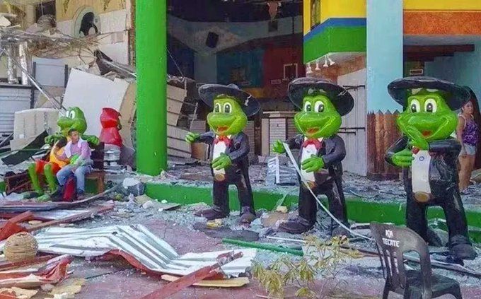 Roban ranas del Sr Frogs de Acapulco
