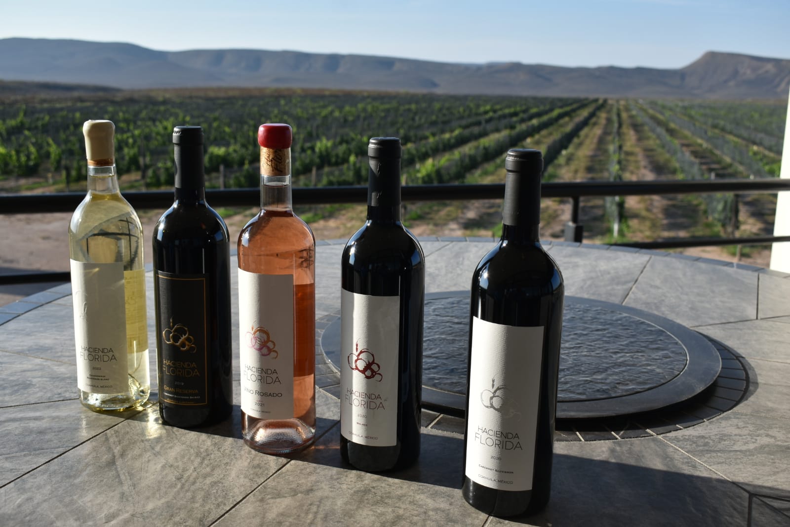 Celebra Coahuila el Día Estatal del Vino