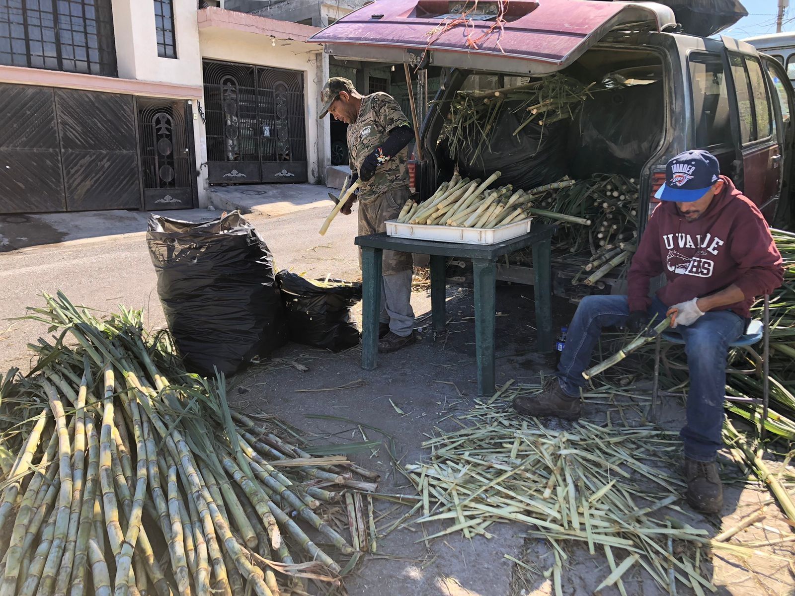 Poco a poco se pierde la tradición de comer caña