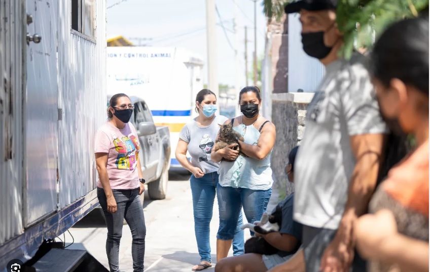 Omisos e irresponsables algunos dueños de perros