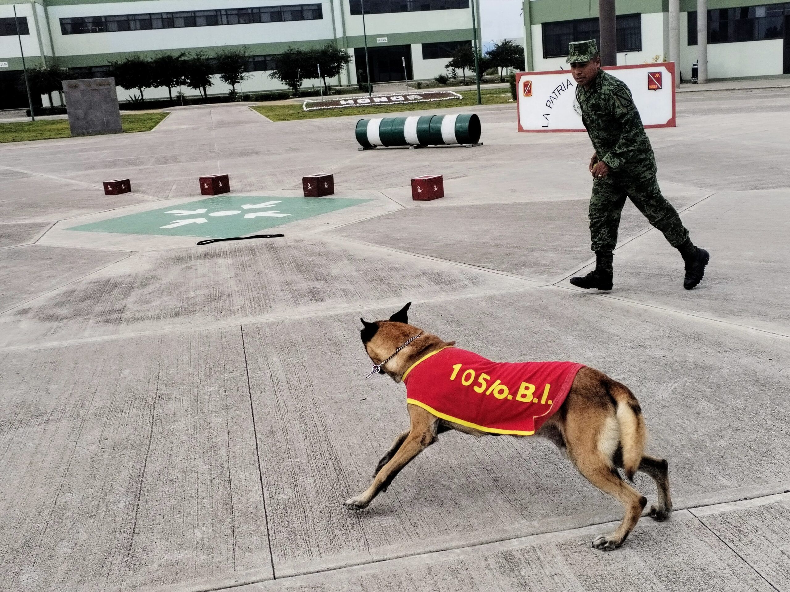 Es ejemplo Coahuila en seguridad: Sedena