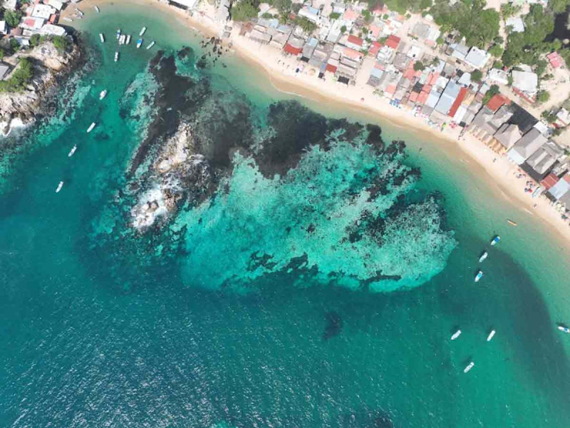 Altas temperaturas del mar ocasionan blanqueamiento de corales y huracanes potentes como Otis