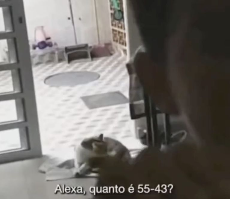 Niño se viraliza luego de hacer su tarea con la «complicidad» de Alexa: VIDEO