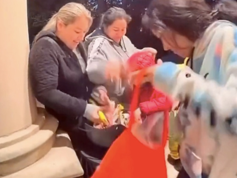 VIDEO: ¿Por qué son así? Los captan llevándose todos los dulces de Halloween