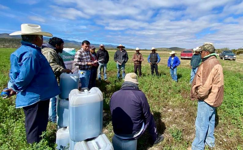 Fortalece Municipio de Saltillo a ejidos con entrega de fertilizante