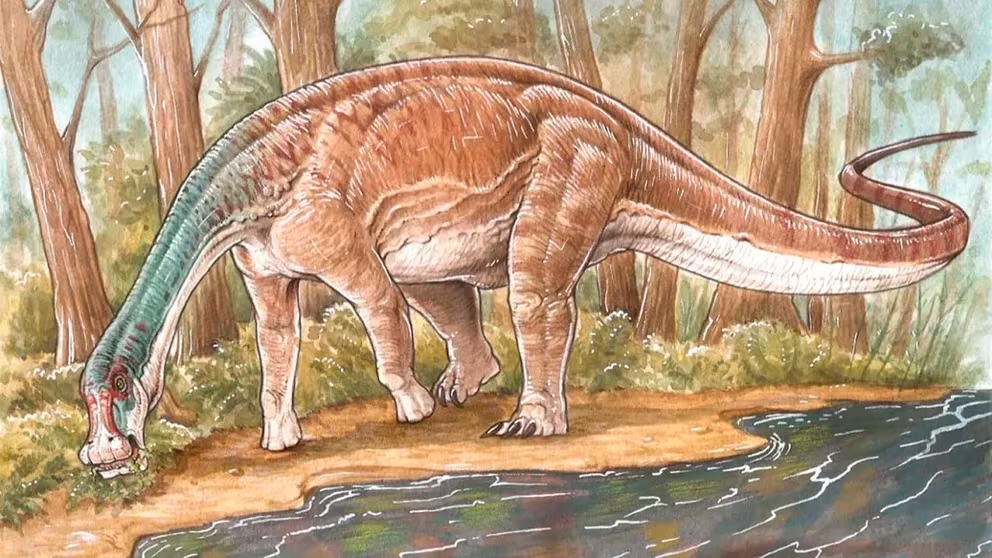 Descubrieron una nueva especie de dinosaurio que vivió hace 86 millones de años en la Patagonia