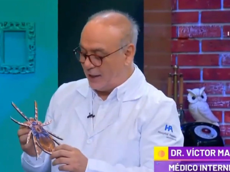 Lyme, la enfermedad de las garrapatas