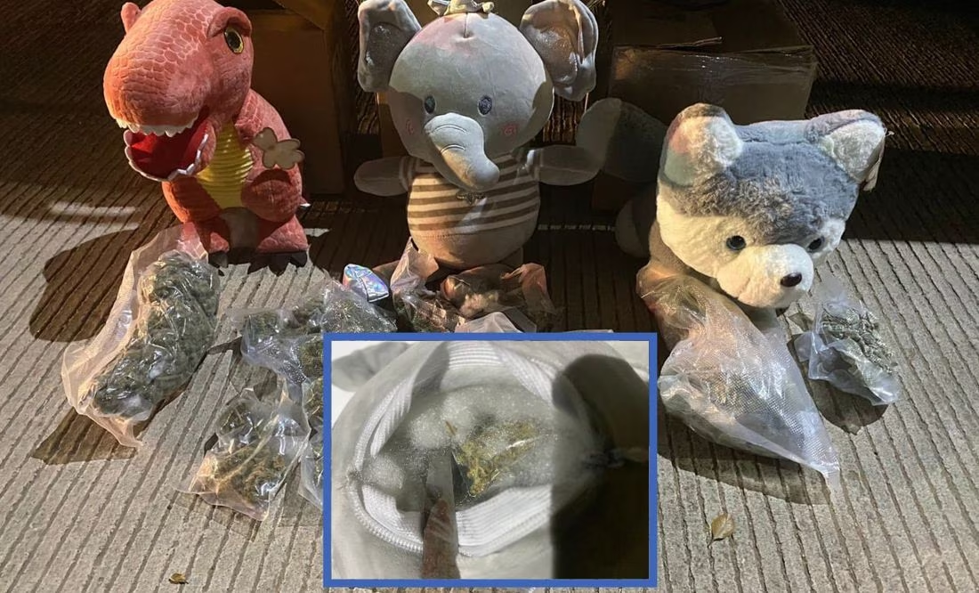 Aseguran peluches de dinoraurio, elefante y perro rellenos con marihuana en paquetería de Culiacán