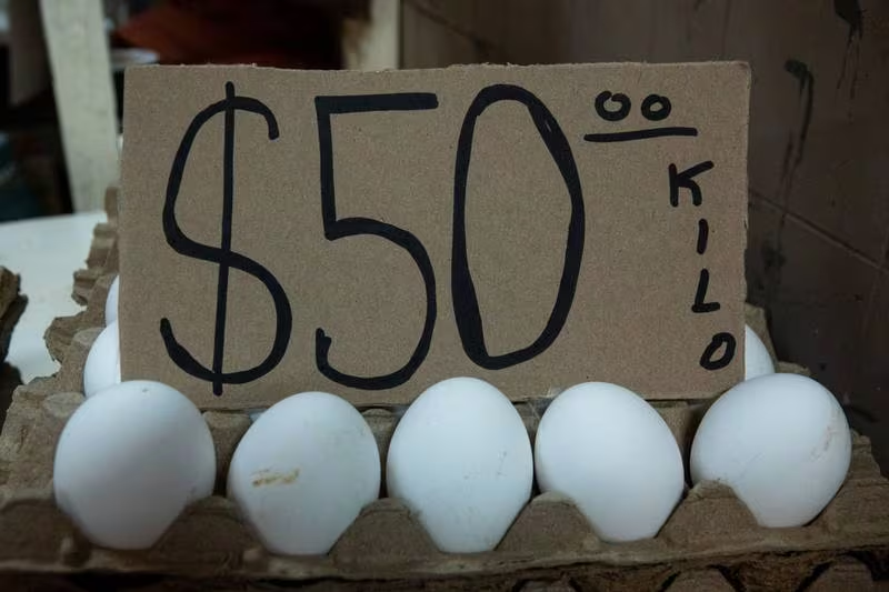 Precio del huevo se eleva hasta 50 pesos el kilo ante la baja producción; se esperan más aumentos
