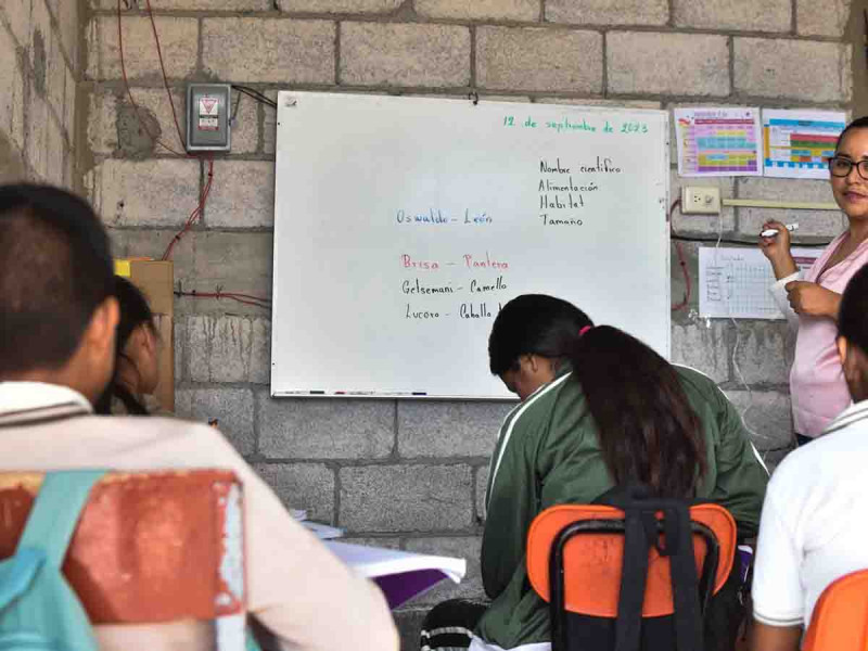 Martín era víctima de bullying, ‘no lo escucharon’ y hoy está muerto