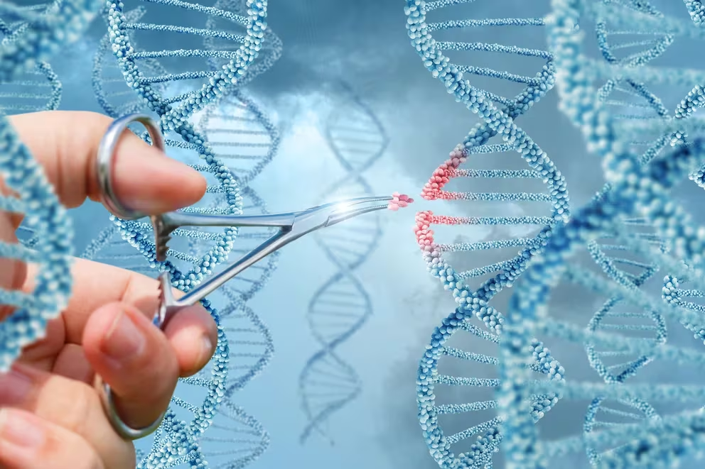 En qué consiste la primera terapia por edición genética aprobada en el mundo