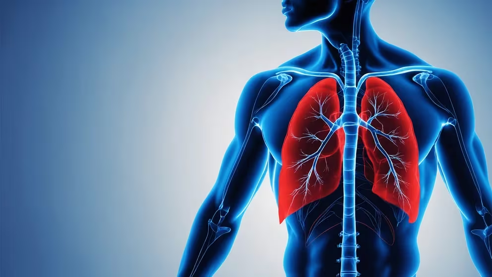 Nueve de cada diez pacientes con cáncer de pulmón fueron o son fumadores