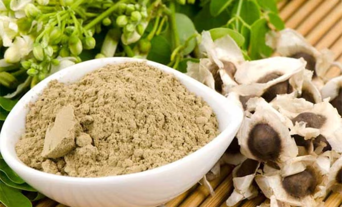 Quiénes no deben comer moringa y por qué