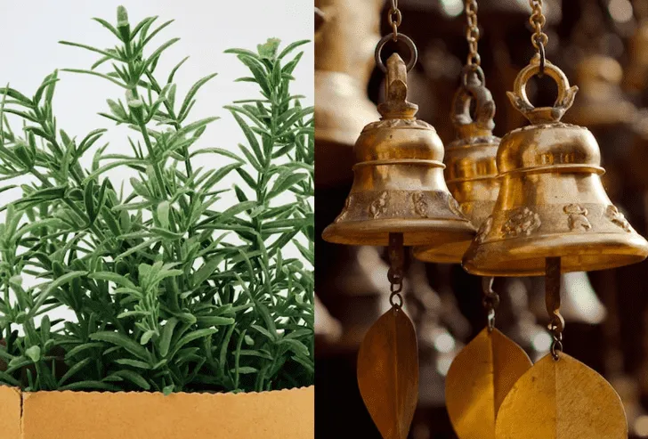 Feng Shui: objetos que puedes usar para protegerte de la envidia