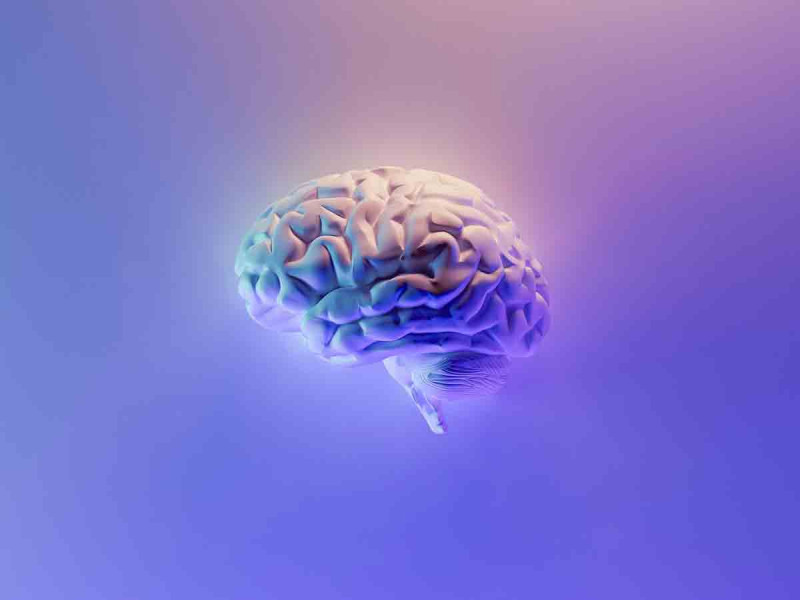 ¿Sufres de grasa abdominal? Podrías tener riesgo de padecer Alzheimer