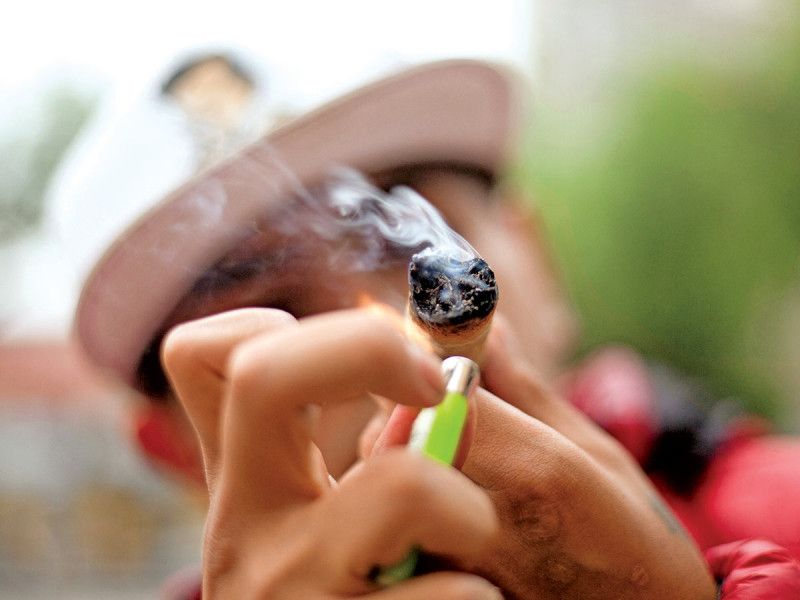 Cannabis para uso recreativo se intenta regular desde hace 5 años