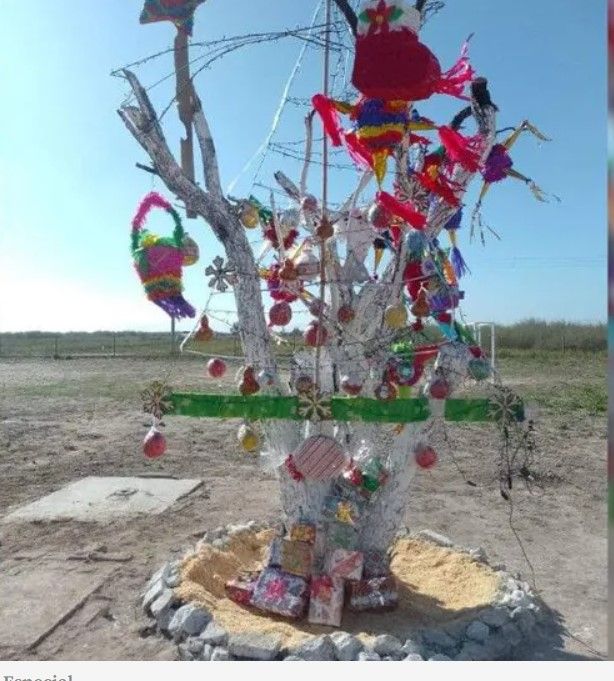 Convierten familias de poblado de Coahuila a árbol seco en navideño