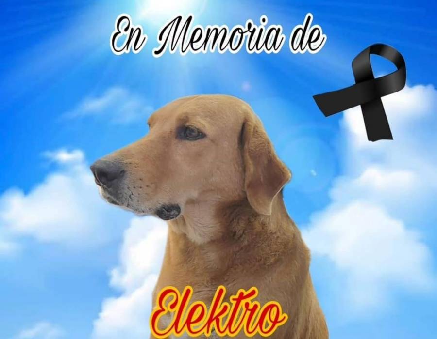 Se infarta “Elektro” por estallido de pirotecnia