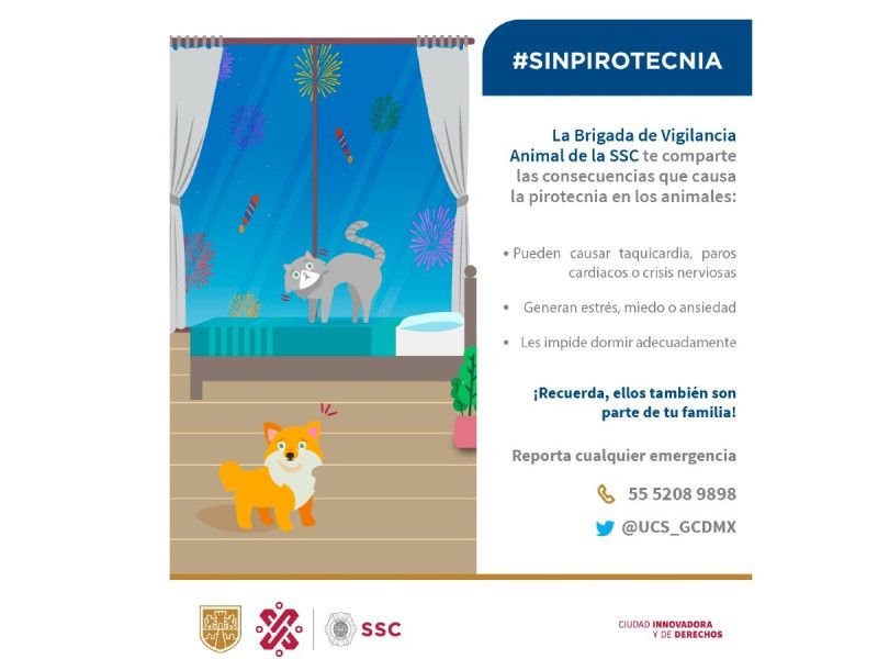 SSC pide no tronar cuetes para evitar crisis en ‘lomitos’ y ‘michis’