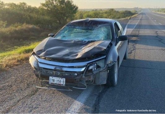 Resulta lesionado al chocar contra caballo