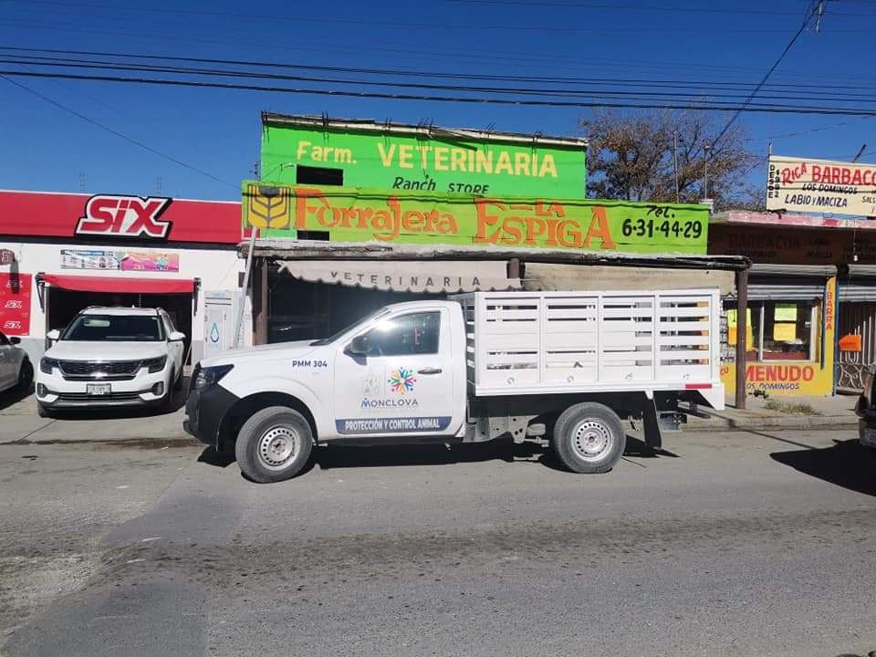 Multan a forrajera por maltrato animal